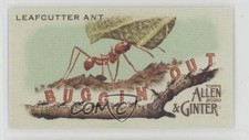 2020 Topps Allen & Ginter's Buggin' Out! Minis Leafcutter Ant #MBO-12 0o6v