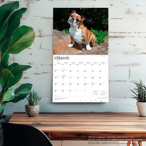 For the Love of Bulldogs | 2026 14x24" (Hanging) Deluxe Wall Calendar - 第 5/9 張圖片