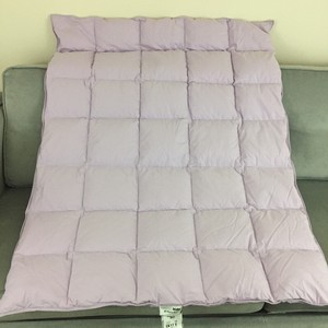 Company Store Company Kids Lilac Purple Down Crib Size Comforter