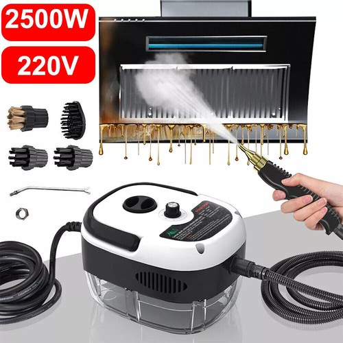 2500W Portable Handheld Steam Cleaner High Temperature Steam Cleaning