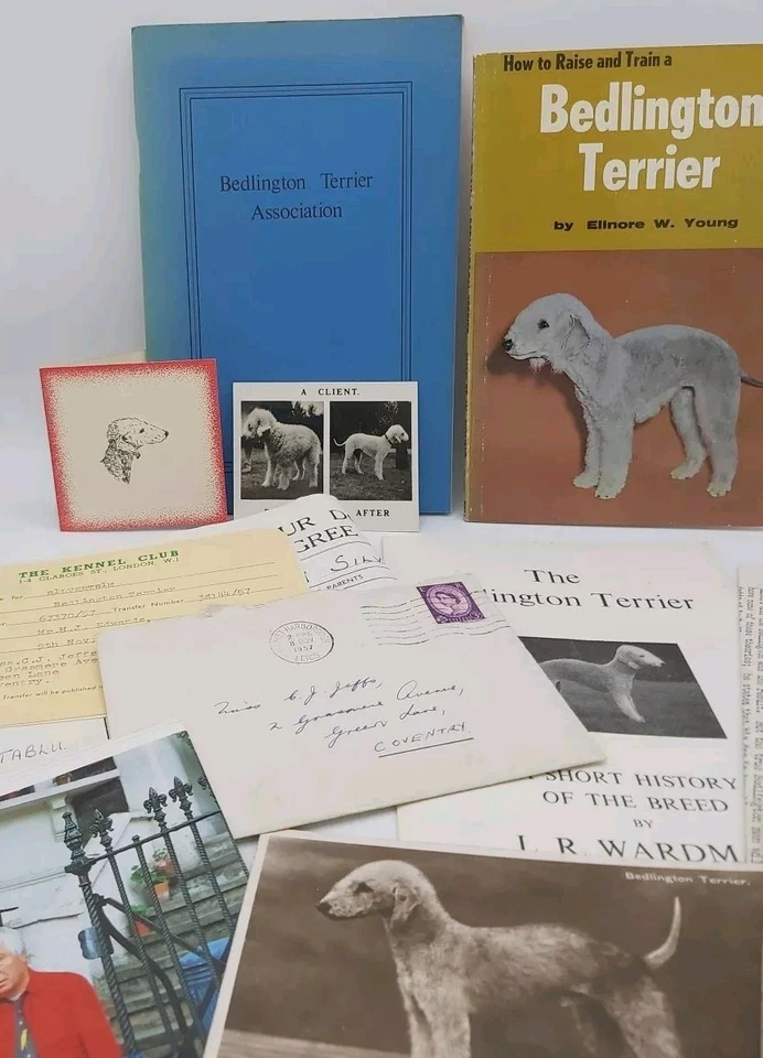 Bedlington Terrier 1974 Association Handbook Postcard Card Advertising Ephemera - Image 2 of 3