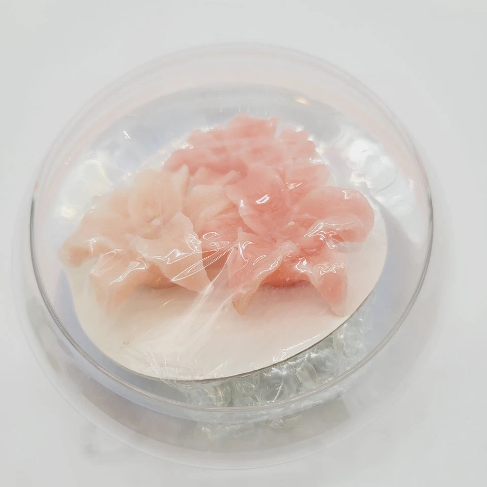 Velas de lírio tigela flutuante de vidro de 7 pol. de largura - Imagem 2 de 4