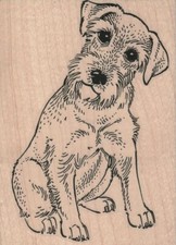 Dog Cocking Head Rubber Stamp 3 x 4", Cute Dog, Dog Stamp