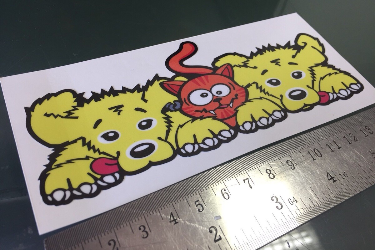 Rossi 46 Cat & Dogs Seat STICKER DECAL NEW 2018 2019 2020 2021