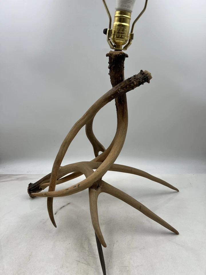 Lámpara de mesa rústica con astas de ciervo decoración de cabaña astas reales iluminación de 22" de alto Foto 4 de 4