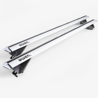 Owen 5.0L Pro Silver (3C) U. A. FüR Daihatsu Terios SUV
