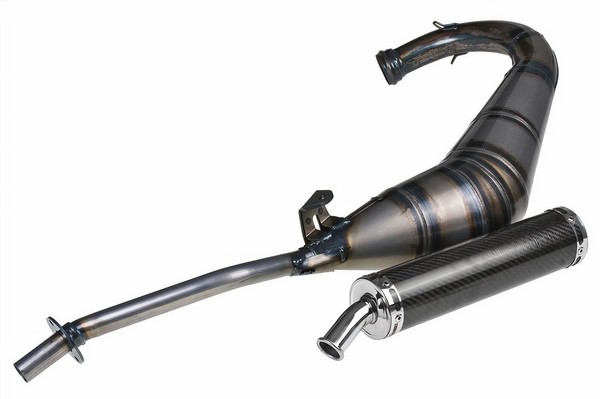 Auspuff Giannelli Strada Carbon FüR Derbi Gpr 125 04-06 (E)-image