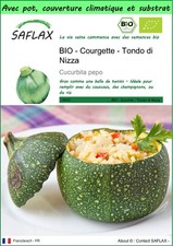 SAFLAX - Garden to go - BIO - Courgette - Tondo di Nizza - 5 Graines
