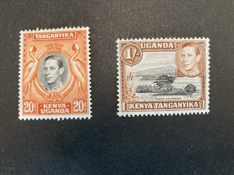 TANGANYIKA/UGANDA/KENYA Stamps - 1942 King George VI & Crane  MNH  Very Nice!