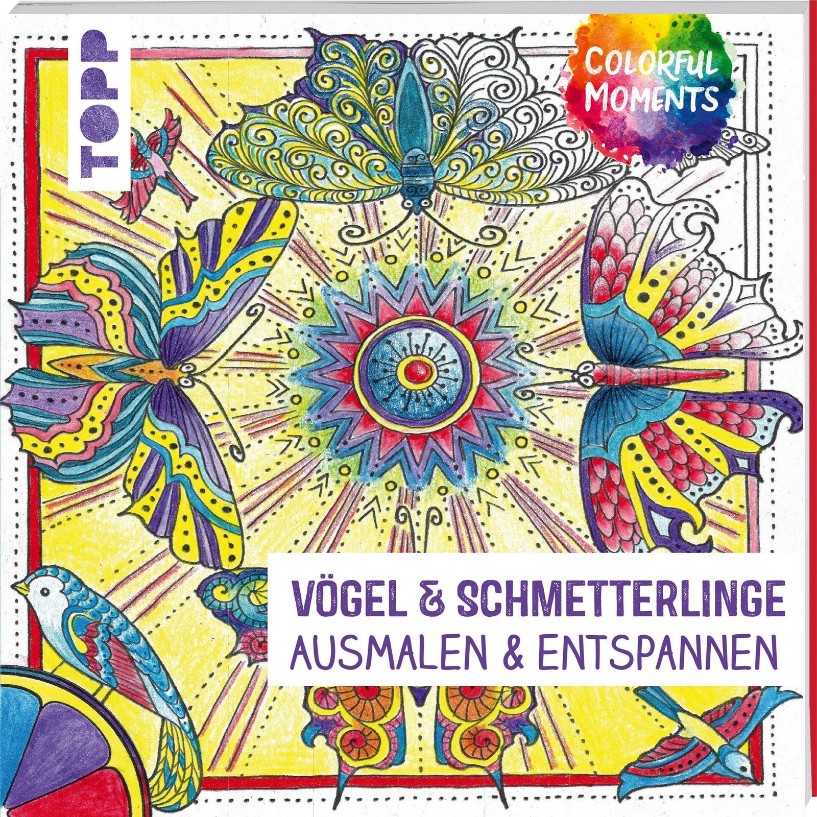 Colorful Moments - Vögel & Schmetterlinge Ursula Schwab
