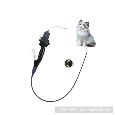 Portable Flexible Endoscope HD   Veterinary Scope for Dogs, Cats, and Pets