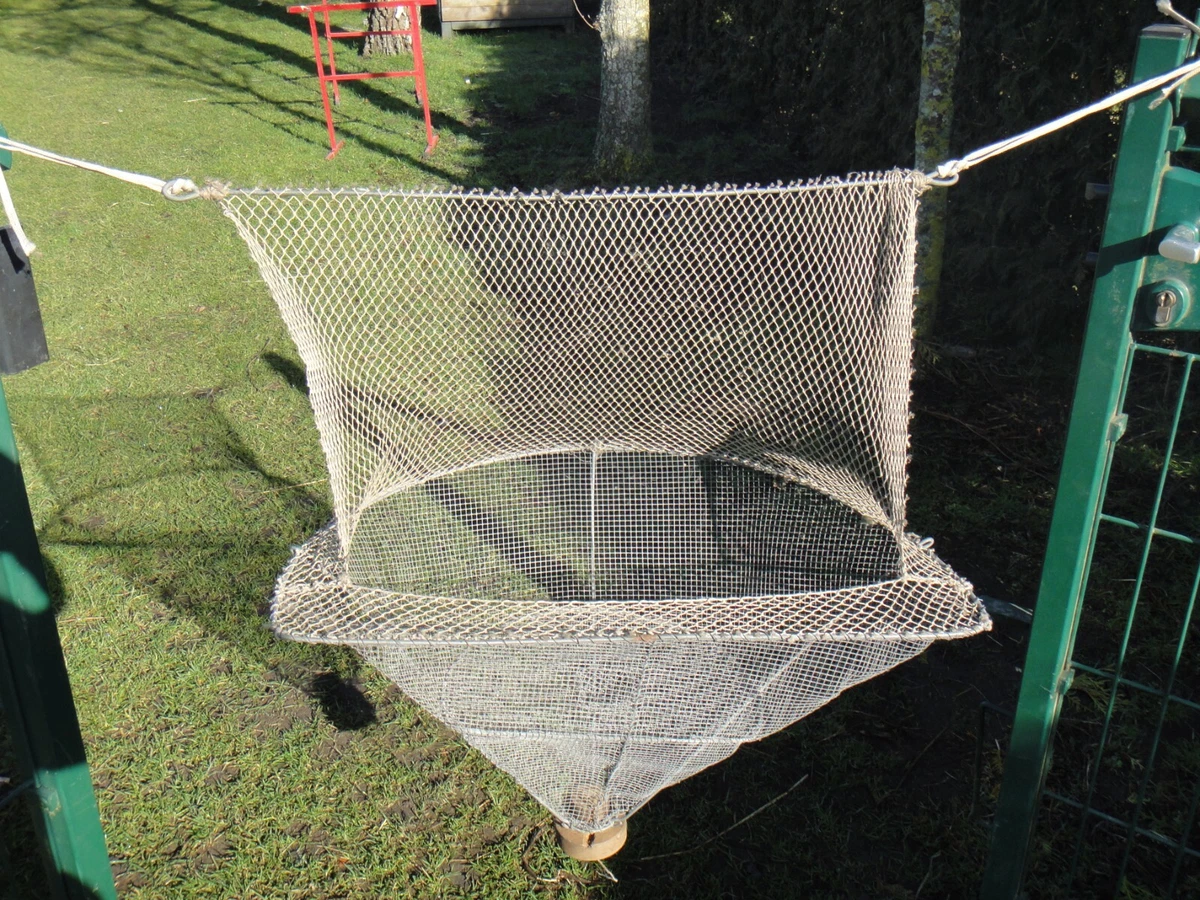 Crochet de Puits ou Piège Ancien en Fer Forgé avec sa Chaîne Art