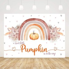 Backdrop A Sweet Little Pumpkin Is On The Way
