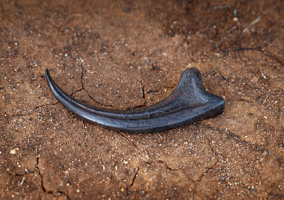 Dinosaurs Jurassic World Park Alan Grant Fossil Velociraptor Claw REPLICA 1:1 - image 4 of 4