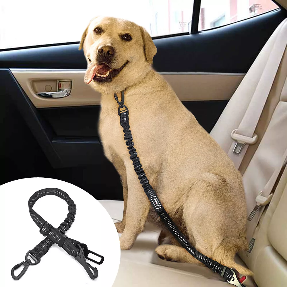 Dog Seat Belt Adjustable Heavy Duty & Elastic Vehicle Dog Safety Belt  Harness