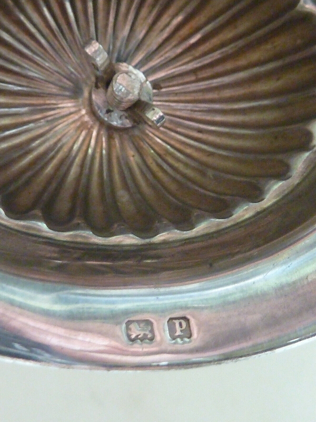 Picture 8 of 12