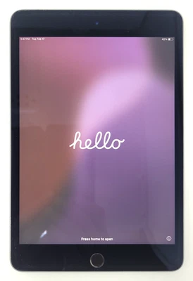 Apple iPad Mini (5th Generation) 256GB for sale - eBay