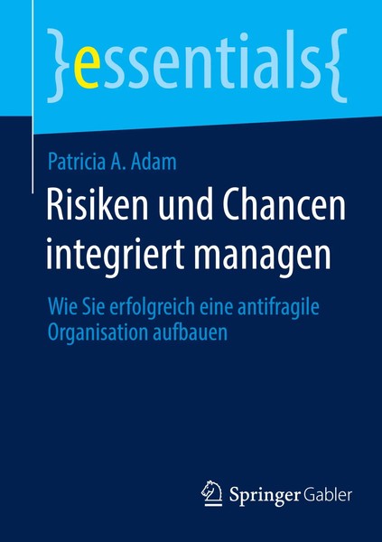 Patricia A. Adam | Risiken Und Chancen Integriert Managen | Taschenbuch (2024)-image