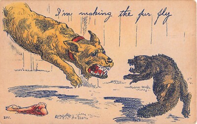 1908 Comic PC of Dog & Cat About To Attack Near a Bone-I'm Making The Fur Fly
