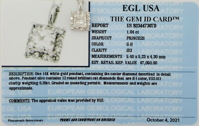 ct 14K White Gold Princess Cut Diamond Halo Pendant Necklace