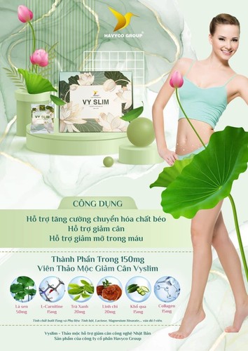 4 Boxes VY SLIM Herbal Weight Loss Fat Burner Detox Pill - Giam can Vy Slim - Picture 10 of 12