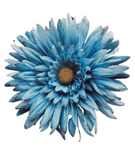 Beautiful Large Blue Fabric FLORAL HAIR CLIP