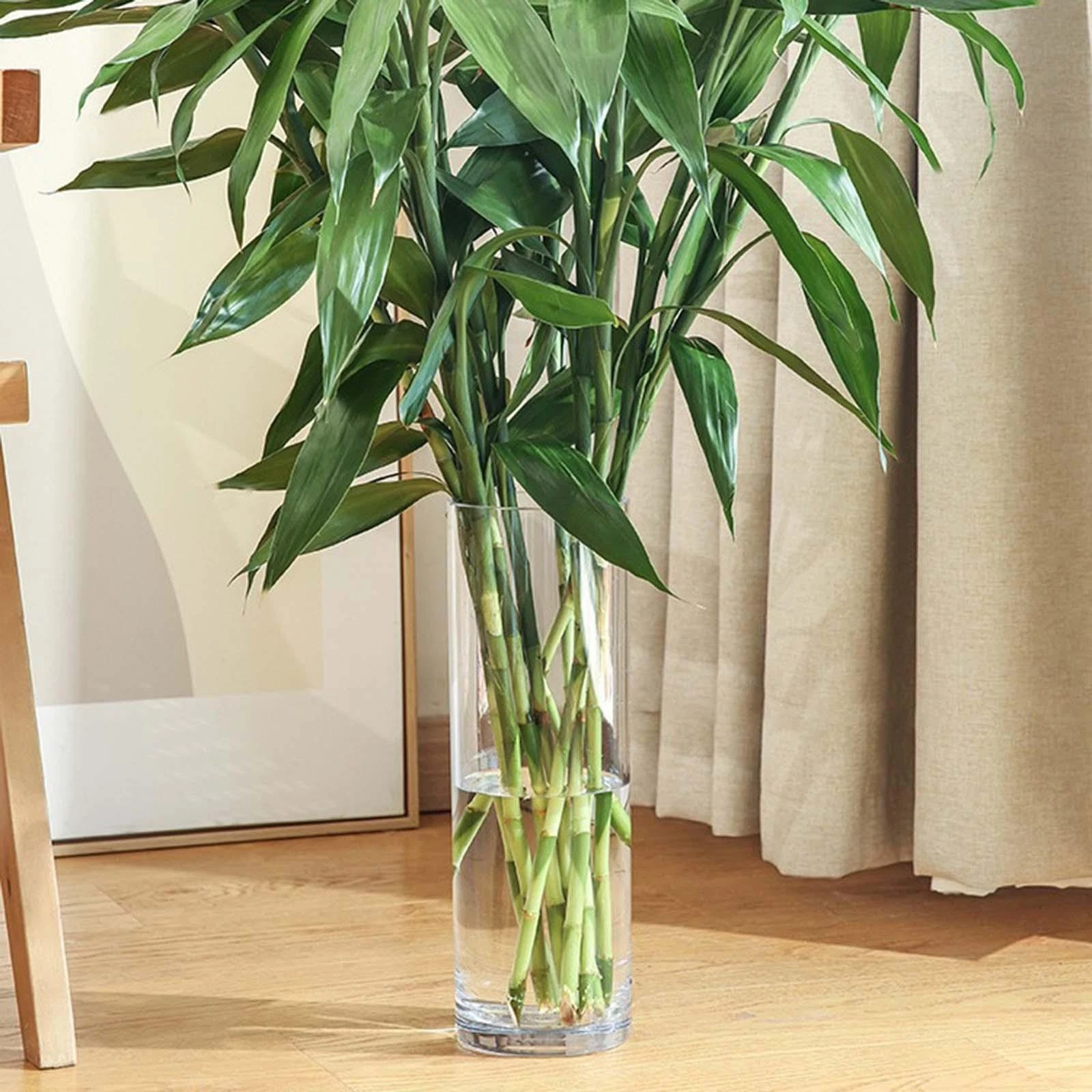 Flower Vase Acrylic Cylinder Vase for Desktop Floral Arrangements Decors