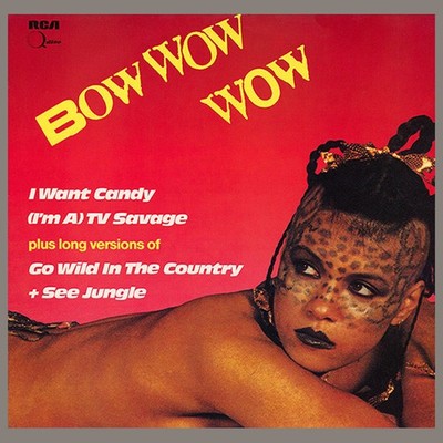 LP · Bow Wow Wow · I want candy · RCA · PG 25436 · Vinyl