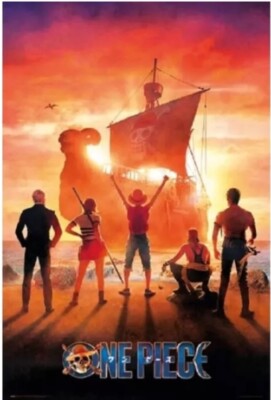 NETFLIX ONE PIECE SERIES Teaser One Sheet MOVIE 22 x34  Poster 27108 RP23885 NEW
