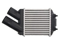 Thermotec LadeluftküHler FüR Renault ScéNic I GroßRaumlimousine JA0/1_ FA0_
