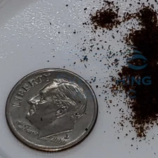 Betta Color Feast Granules with Natural Astaxanthin