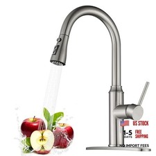Kitchen Faucet with Pull Down Sprayer Kitchen Sink Brushed Nickel Classic