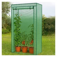 FoliengewäChshaus FrüHbeet Treibhaus Tomatenhaus Pflanzenhaus 100X50X150Cm