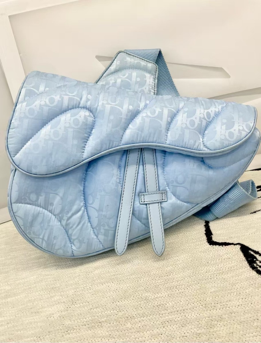 Christian DIOR x ERL Oblique Saddle Waist bum bag Nylon leather