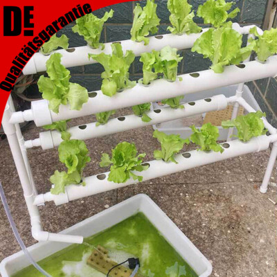 36 Pflanz Hydroponic Grow Hydrokultur Vegetable Hydroponic System Grow Kit