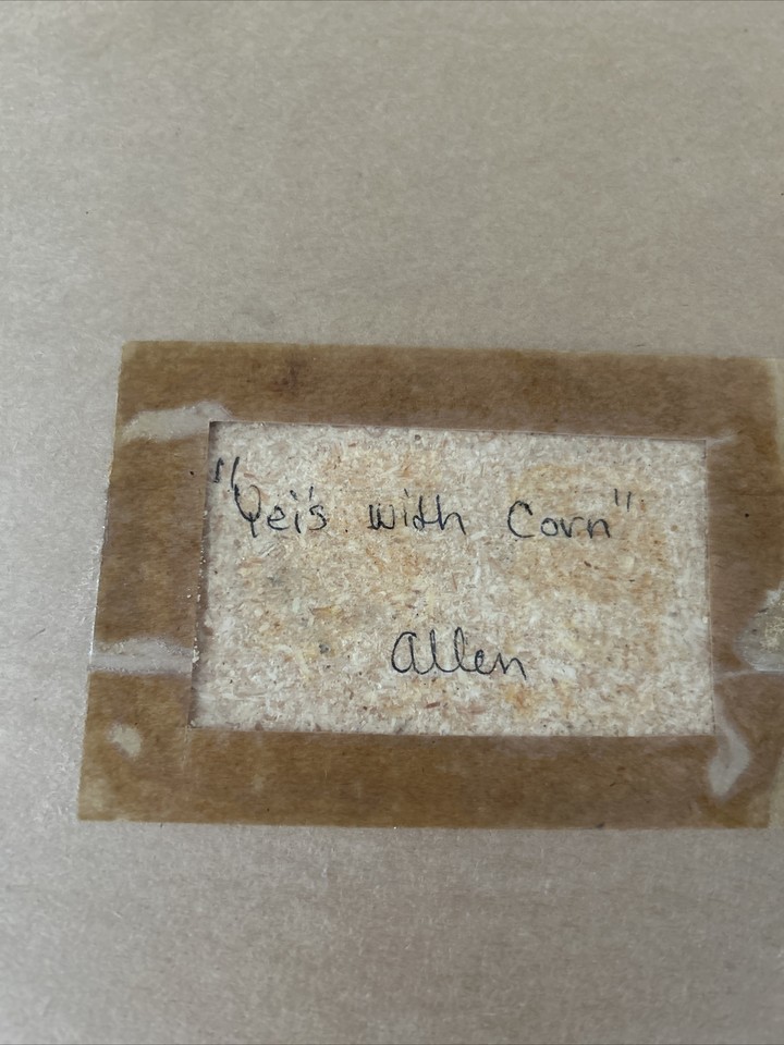 navajo sand painting eBay