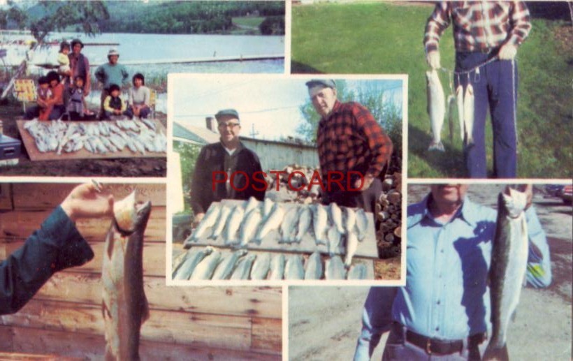 five views of fishing SHADY SHORE CAMPING, WHITE LAKE, SORRENTO, BC