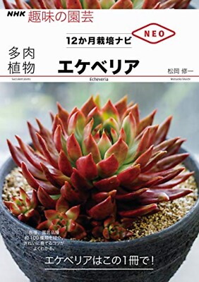 How To Grow Echeveria For One Year Succulent Plants Cultivation japan