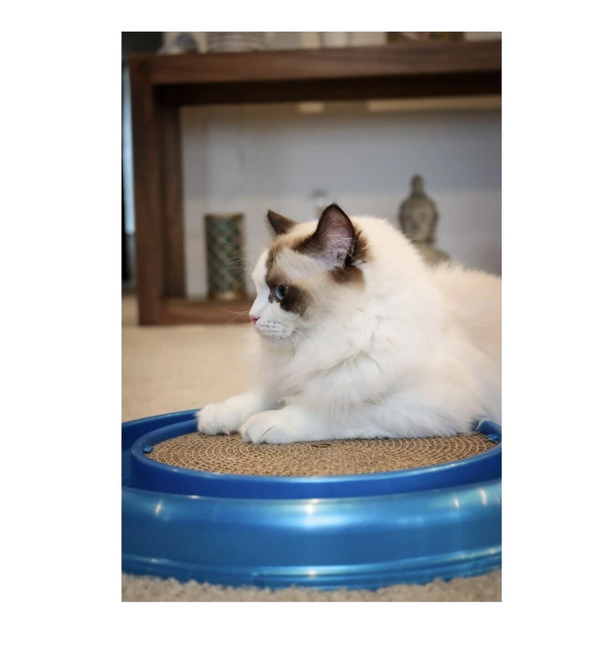 Morovilla Turbo Interactive Scratcher Cat Toy - Image 3 of 3