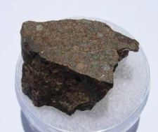 5.49 grams NWA 11669 Meteorite (class LL3) cut fragment with a COA