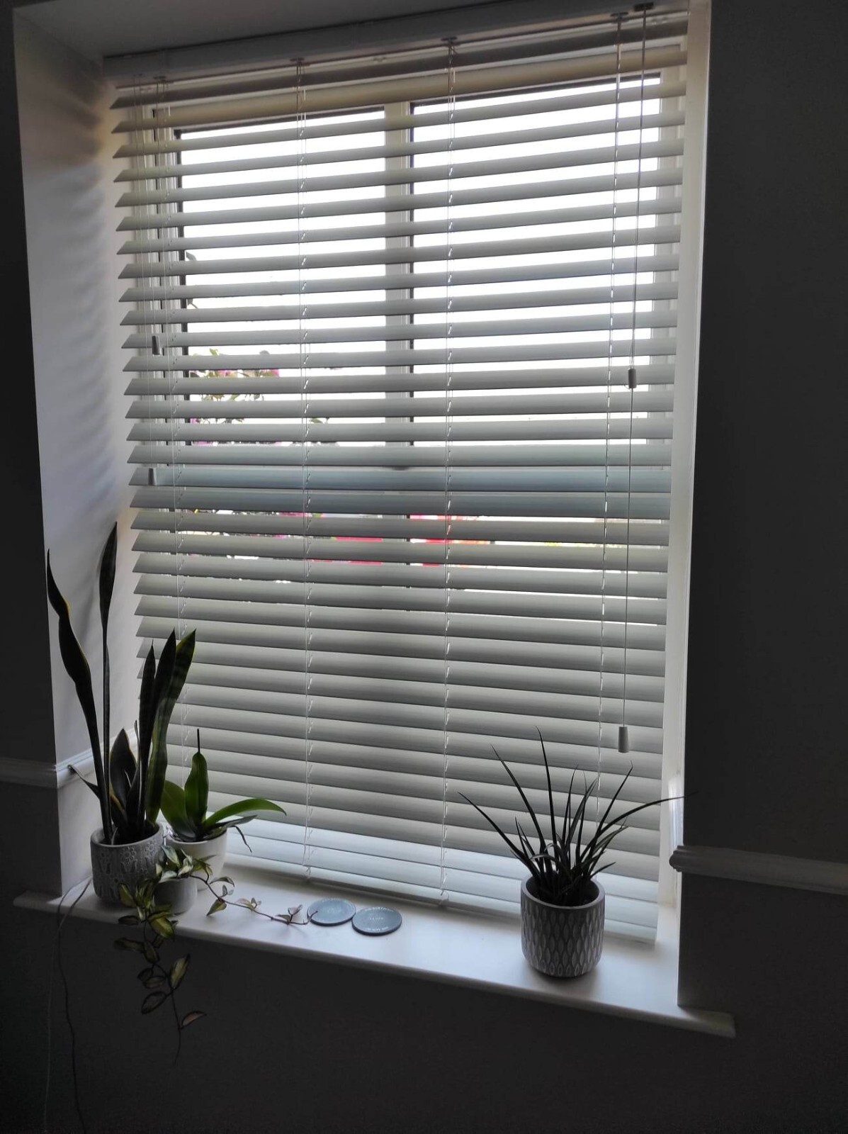 white wooden blinds eBay
