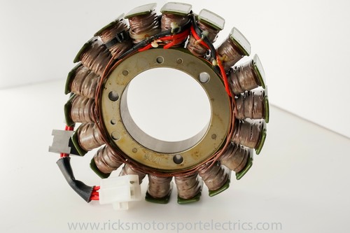 Rick's Electric Motorcycle Stator 