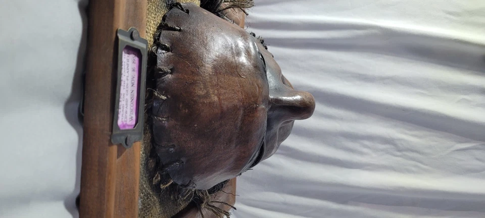 Halloween, máscara, réplica de máscara de piel inspirada en Ed Gein, utilería de exhibición de terror premium Foto 3 de 4