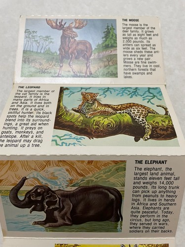 VINTAGE 1981 DRAWING WILD ANIMALS BY Shelley Graphics Ltd. Fold Out Cards - Foto 4 di 10