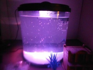 Top Fin Light Top Fin Led Light Modules Titan LED Module 8W 650lm 36° Dimbaar 2700K