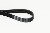 Neu - Continental Ctam 6PK1205 Keilrippenriemen FüR CitroËN Dacia Ford Honda