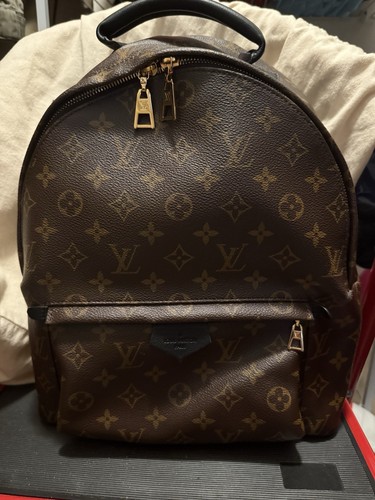 Louis Vuitton Palm Springs Backpack MM Brown Canvas Monogram - Picture 1 of 12