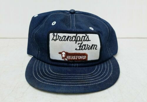 Parker Snapback Hat Blue OS Embroidered Denim Colorblock 6  display picture 3