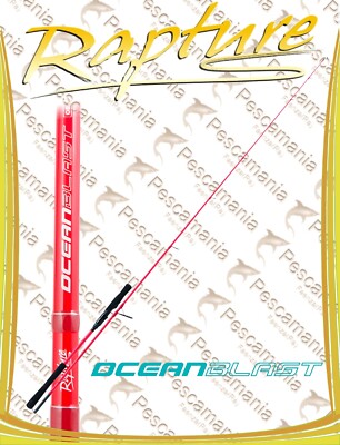 Ocean Blast Offshore Spinnfischen 2.50mt 15-80gr Angelrute Rapture