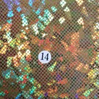Bild 59 von 79